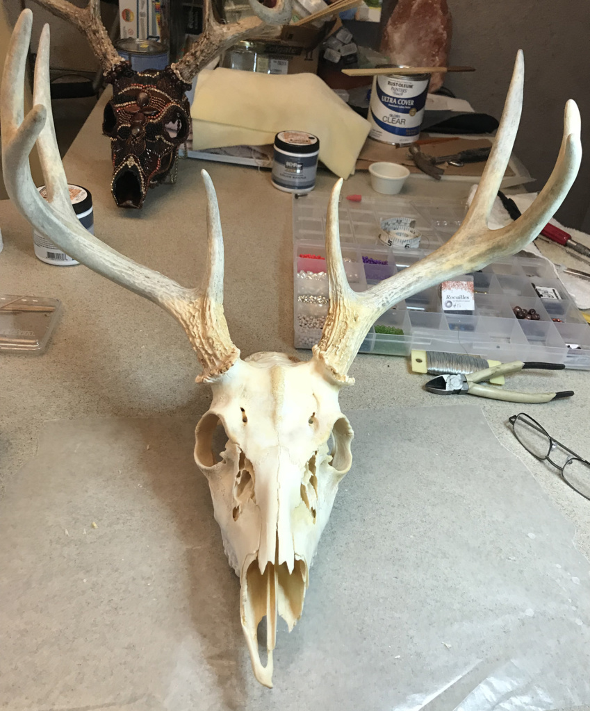 Step 1 in Leesa's beaded skull art process - Cleaning